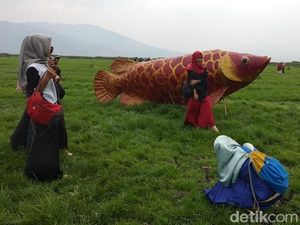 Viral Mendadak, Ini Dia New Sabana Rawa Pening