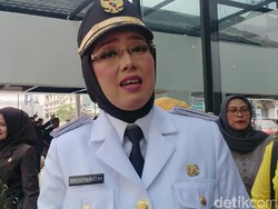 Profil Bupati Purwakarta, Eks Juara Mojang yang Gugat Cerai Dedi Mulyadi