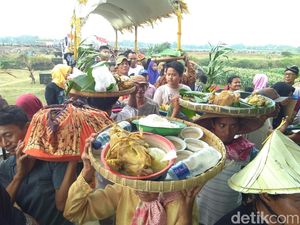 Ungkap Rasa Syukur, Petani Jepara Kirab 1.000 Ingkung Ayam