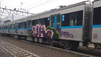 Tak Hanya MRT Jakarta, Kereta di Dunia Ini Juga Korban Vandalisme