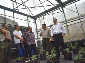Mentan Minta Balai Pelatihan Pertanian Lembang Terus Berinovasi