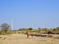 Kebun Angin Raksasa di Jeneponto Beroperasi November