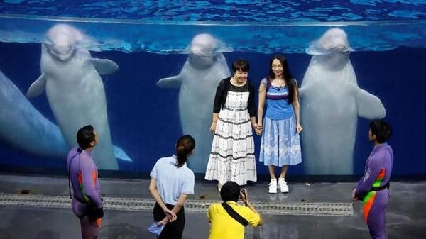 Potret Penjara Paus dan Lumba-lumba di China