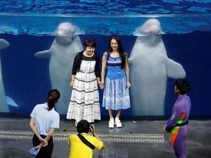 Potret Penjara Paus dan Lumba-lumba di China