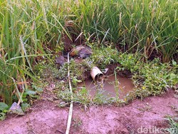 Terdampak Tambang Semen, Warga Leuwidinding Minum Air Selokan