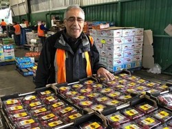 Berkat Kampanye Medsos, Penjualan Stroberi Australia Bangkit Kembali