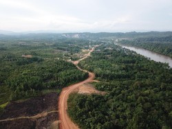 Jalan Perbatasan di Kalimantan hingga Papua Tambah 1.000 Km