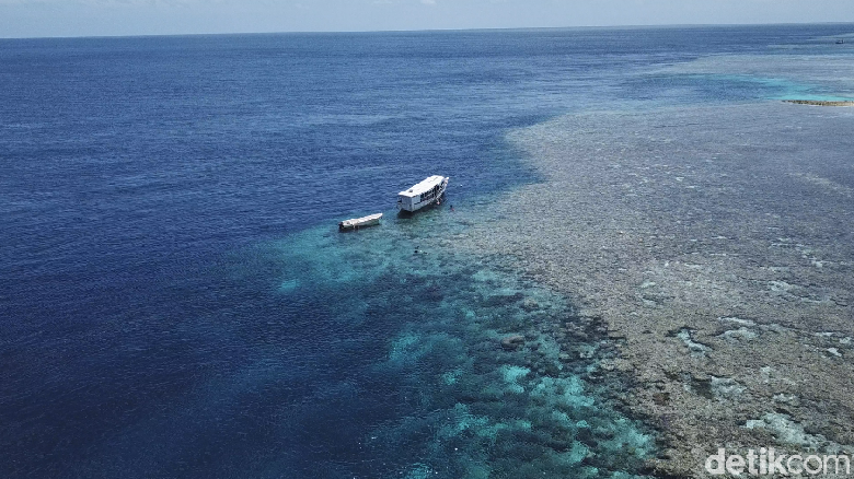 Wakatobi, keindahan Indonesia di Sulawesi Tenggara (Zaky Fauzi Azhar/detikTravel)