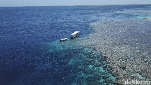 Foto Drone: Wakatobi Mencuri Hati