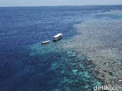 Tonton dTraveler Jelajahi Indonesiamu ke Wakatobi