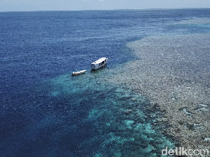 Tonton dTraveler Jelajahi Indonesiamu ke Wakatobi Tonton dTraveler Jelajahi Indonesiamu ke Wakatobi