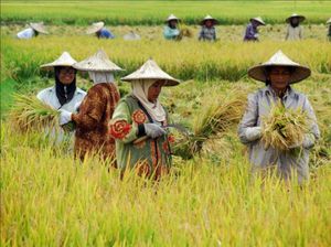 Deklarasi Hak Petani Diadopsi Dewan HAM, SPI Apresiasi Pemerintah