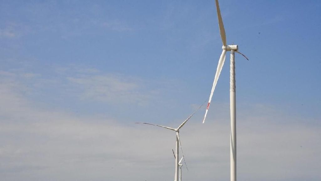 Indonesia Punya Kebun Angin Lagi, Ini Penampakannya Indonesia Punya Kebun Angin Lagi, Ini Penampakannya