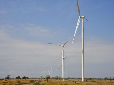 Indonesia Punya Kebun Angin Lagi, Ini Penampakannya