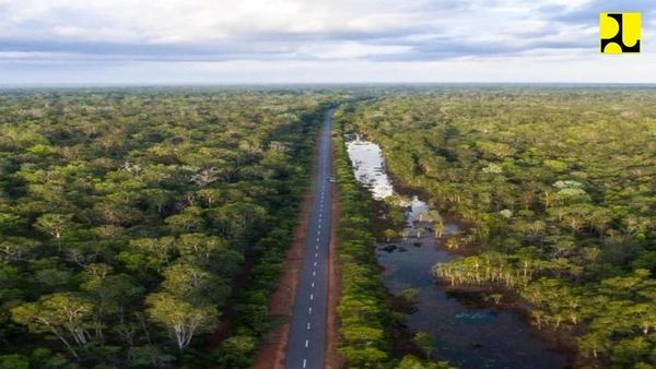 Bangga! Jalan Perbatasan di Kalimantan, NTT, dan Papua Dibangun