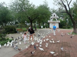 Ini Destinasi Wisata Gratis yang Bisa Dikunjungi Jika ke Nanjing