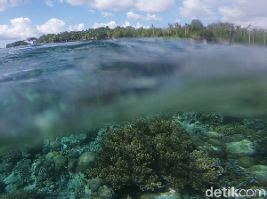 Inilah Wakatobi, Salah Satu Bali Baru