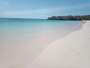 Cantiknya Pantai Pink Lombok Bikin Hati Berdesir