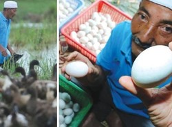 Dari Jual Telur Asin, Pria Ini Dapat Penghasilan Rp 43 Juta Sebulan