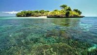 Tergoda Keindahan Bawah Laut Pantai Pink di Lombok Timur