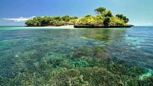 Tergoda Keindahan Bawah Laut Pantai Pink di Lombok Timur