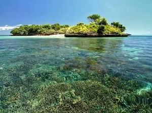 Tergoda Keindahan Bawah Laut Pantai Pink di Lombok Timur