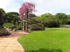 Menikmati Singapura yang Hijau di Akhir Pekan