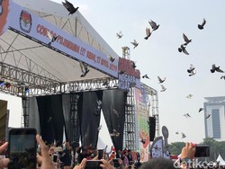 Penjelasan Maruf soal Burung Tak Terbang yang Disorot Elite PD