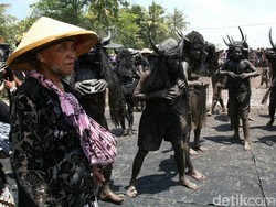 Ritual Kebo-keboan di Banyuwangi Spektakular, Tapi Tetap Sakral