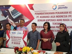 Produksi Susu Sapi Rendah, Kementan Minta BUMN & Peternak Bermitra