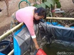 Pascagempa Lombok, Pengungsi Kekurangan Air Bersih