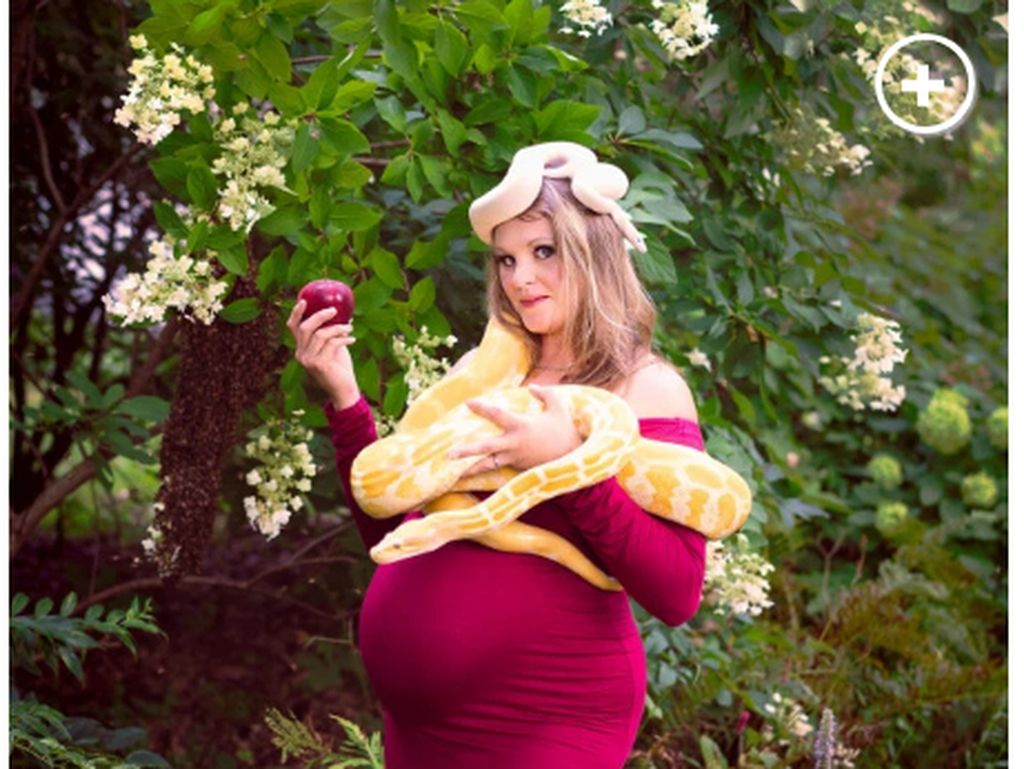 Ibu Ini Berpose dengan Ribuan Lebah dan Ular di Foto Kehamilan