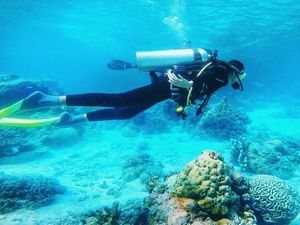 Surga Bawah Laut Wakatobi! Impian yang Jadi Nyata Surga Bawah Laut Wakatobi! Impian yang Jadi Nyata