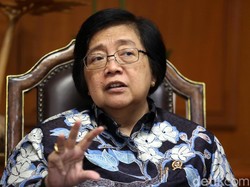 Alihkan untuk Penanganan Corona, KLHK Potong Anggaran Rp 1,5 T