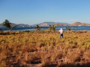 Bukan di Afrika, Ini di Pulau Kenawa NTB