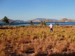 Bukan di Afrika, Ini di Pulau Kenawa NTB