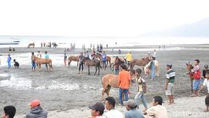 Foto: Pacuan Kuda Seru di Pantai Dompu