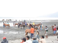 Ayo ke Dompu! Ada Pacuan Kuda Pantai yang Seru