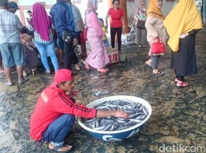 Nelayan Palabuhanratu Panen Ikan Lisong, Pembeli Menyemut