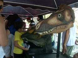 Nestapa Museum Nasional Brasil Gelar Festival di Pelataran