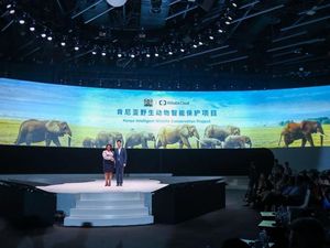 Teknologi Canggih Lindungi Gajah Adopsi Jack Ma Teknologi Canggih Lindungi Gajah Adopsi Jack Ma