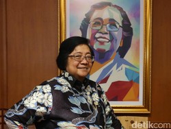 KLHK Menangi Gugatan Rp 17 Triliun, Baru Dieksekusi Rp 30 Miliar