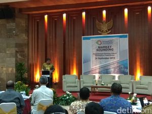 Pemerintah Tawarkan Kawasan Industri di Papua Barat ke Swasta
