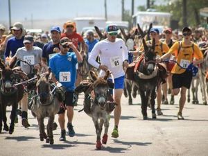 Coba Maraton Unik di Colorado, Lari Berdua Bareng Keledai Coba Maraton Unik di Colorado, Lari Berdua Bareng Keledai