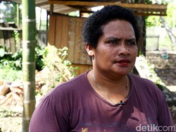 Ternak Babi di Perbatasan, Mama Papua Ini Untung Rp 10 Juta/Bulan