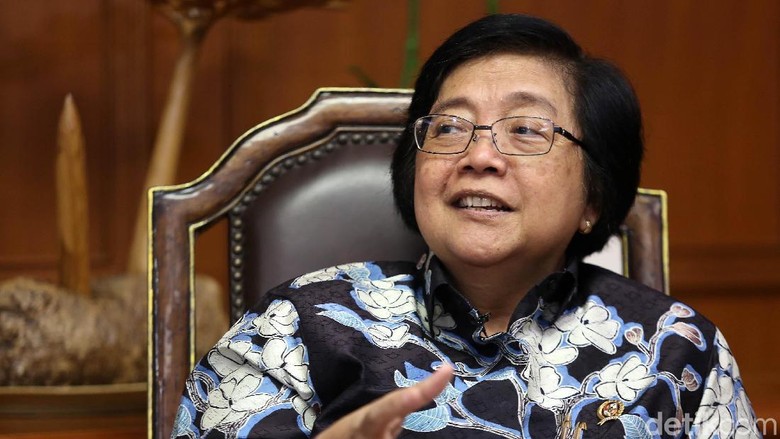 Menteri Siti Lapor ke Jokowi soal Kebakaran Hutan: Ada Api Langsung Dimatiin