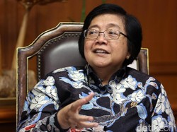 Menteri LHK: Illegal Logging Metamorfosisnya Tinggi