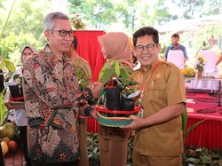 Genjot Produksi Rempah, Kementan Distribusikan 10 Juta Benih Gratis
