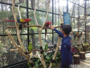 Baru Nih! Lembang Punya Taman Burung dari Luar Negeri