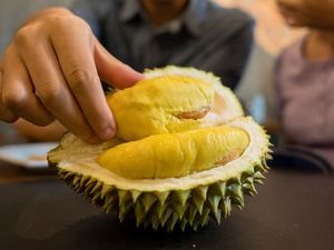 Dilarang Makan Durian, Wanita Ini Laporkan Kekasihnya ke Polisi